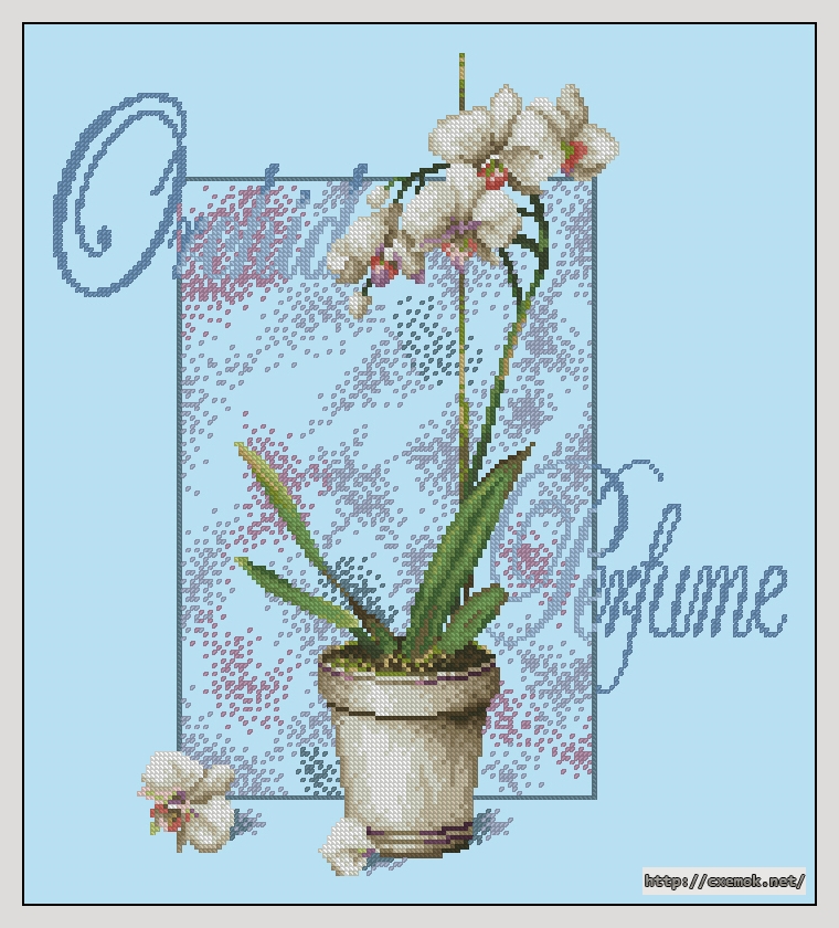 Скачать схемы вышивки нитками / крестом  - Orchid perfume, автор 