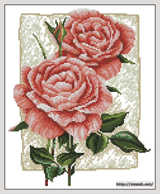 Скачать схемы вышивки нитками / крестом  - Cottage rose in bloom, автор 