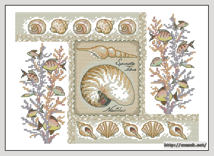 Скачать схемы вышивки нитками / крестом  - Nautilus shells, автор 