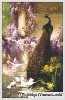 Скачать схемы вышивки нитками / крестом  - A peacock and doves in a garden, автор 