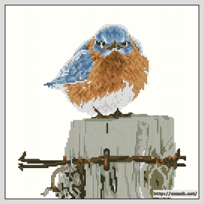 Download embroidery patterns by cross-stitch  - Mad blue bird, author 
