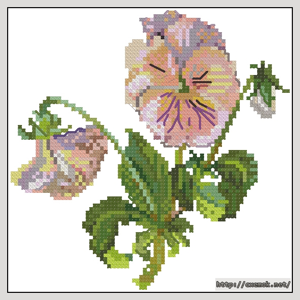 Download embroidery patterns by cross-stitch  - Pansy, author 
