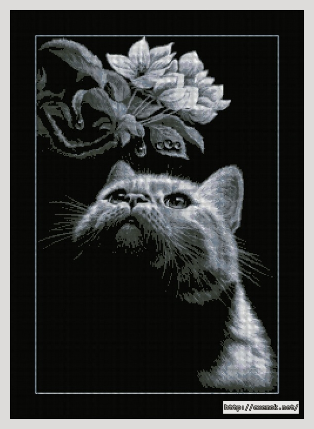 Черно-белый кот – Схема вышивки крестом, скачать бесплатно!