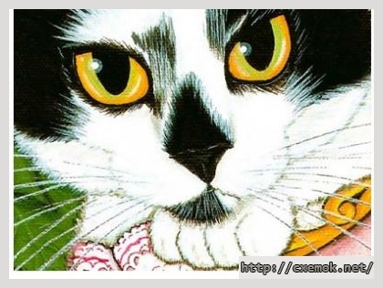 Скачать схемы вышивки нитками / крестом  - Qs tuxedo cat eyes, автор 