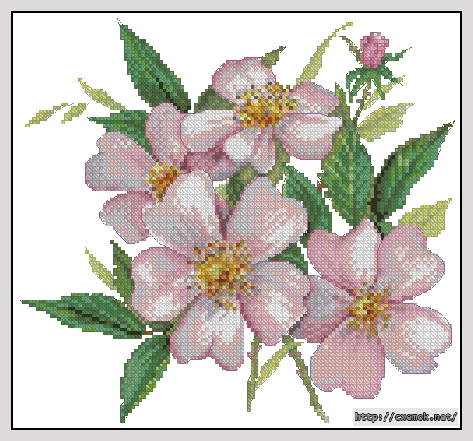 Скачать схемы вышивки нитками / крестом  - Light pink wild roses, автор 