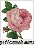Скачать схемы вышивки нитками / крестом в формате .pdf - Pink rose and bud