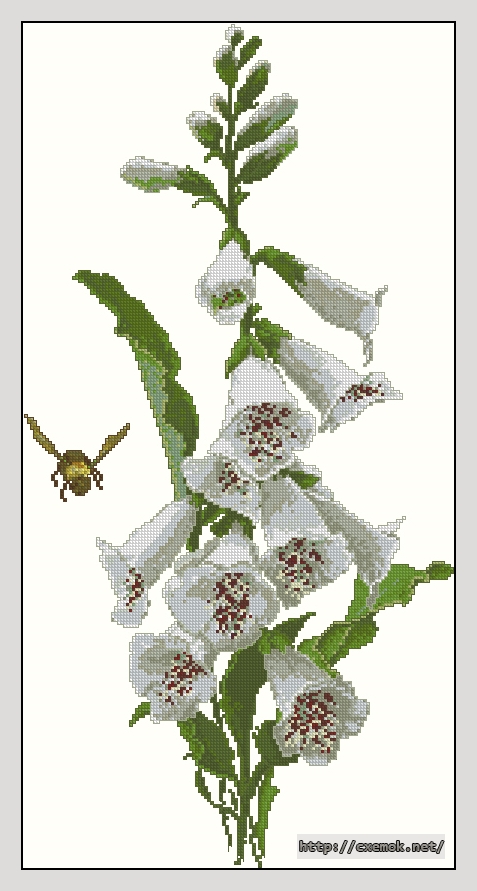 Download embroidery patterns by cross-stitch  - White foxgloves, author 