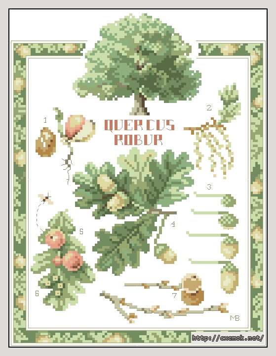 Download embroidery patterns by cross-stitch  - Oak study, author 