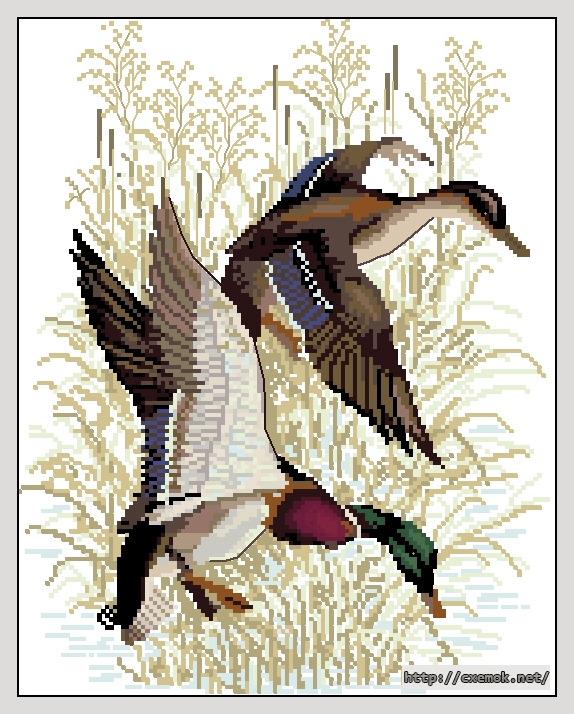 Download embroidery patterns by cross-stitch  - Утиная охота, author 
