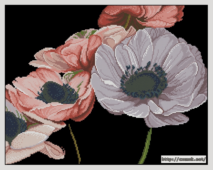 Download embroidery patterns by cross-stitch  - Hearts of anemones, author 