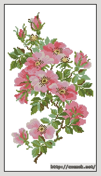 Download embroidery patterns by cross-stitch  - Шиповник, author 